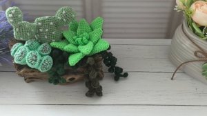 Эксклюзивная жабка👍💕Кактусы🌵Тишка снова с раной😱🥺 Зайка?🤪🤪Вязовлог 13/ Мой уютный дом (2)