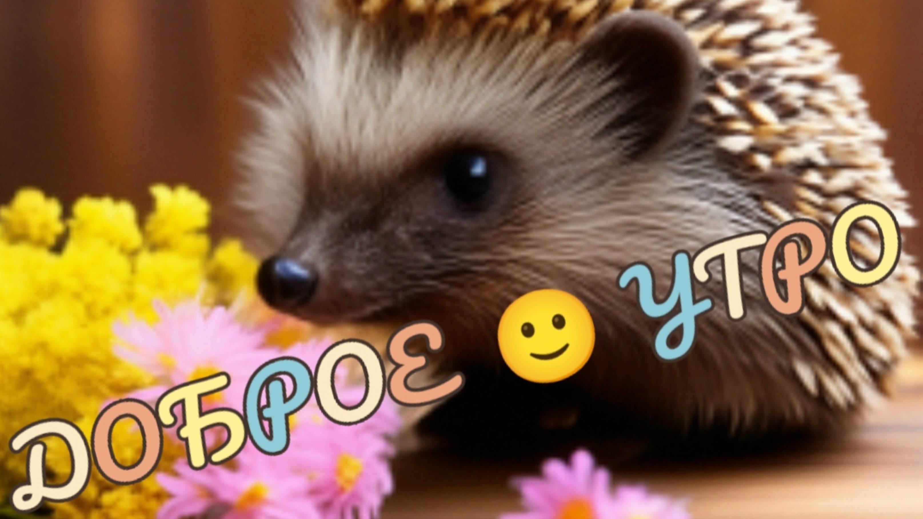 ДОБРОЕ УТРО ПОНЕДЕЛЬНИКА !