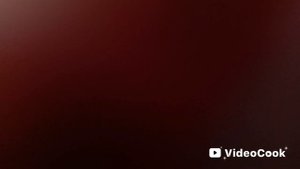 у меня новый питомец ❤️🍁🤩🤩🤩|небольшие новости 🍒🍒🍒🍒🍒🍑🍑🍑
