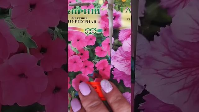 С прощённым воскресеньем! Делюсь планами! А чем вы зан? смотреть онлайн