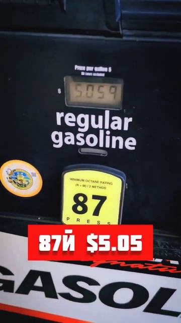 29 ОКТЯБРЯ СКОЛЬКО СТОИТ БЕНЗИН В США СЕГОДНЯ ⛽️ 🇺🇸 смотреть онлайн