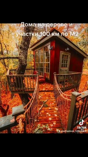 Дом на дереве