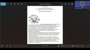 Соционика. Типирование по внешности.
4-я_встреча - Соционические встречи №4. 7 мая 2025 г.