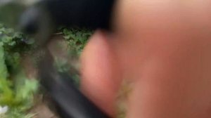 Будра- ведьмина трава 🌿 перебирала Картошку / готовлю ужин