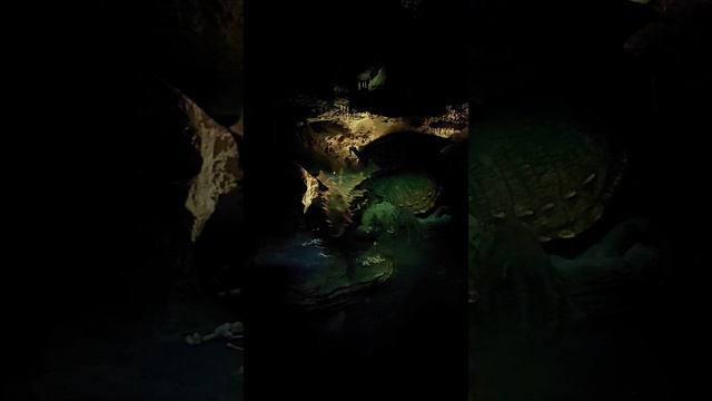 The real dragon cave #dragon #dragons #paris #disney #дракон #cave 🤟🤟🤟🤟🐦🔥🐦🔥🐦🔥 смотреть онлайн