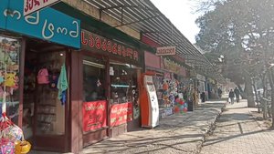 Обзорная прогулка по Рустави 30.01.2025 (улица Тодрия в Новом Рустави)