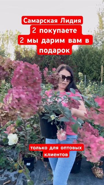 Распродажа в питомнике «Успех» смотреть онлайн