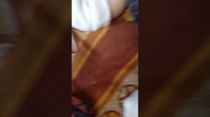 Знакомство с соней
