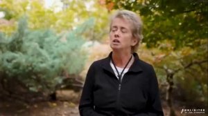 История трансформации по медитациям Джо Диспенза