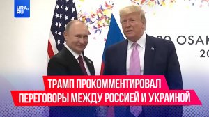 Трамп прокомментировал предложение Путина о прямых переговорах с Киевом
