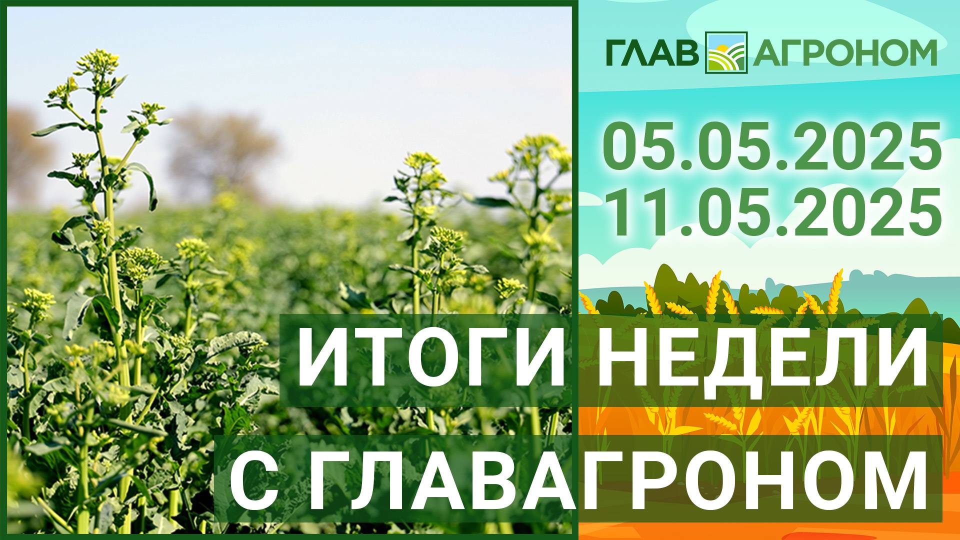 Итоги недели с ГлавАгроном. 05.05.2025 - 11.05.2025