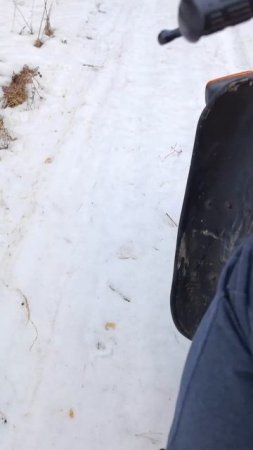 Когда снег ещё лежит, но уже не терпится) #юпитер5