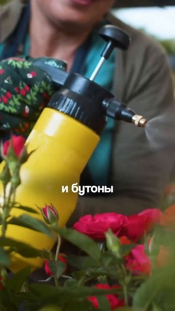 СУПЕРсредство: Никогда Не Выбрасывайте Луковую Шелух? смотреть онлайн