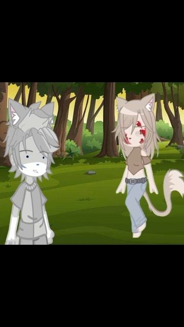 #warriors #wc #котывоители #моякнига #пжактив #актив #книга #п смотреть онлайн