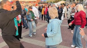 В краю магнолий... 10.05.25...