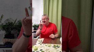 Д’Артаньян