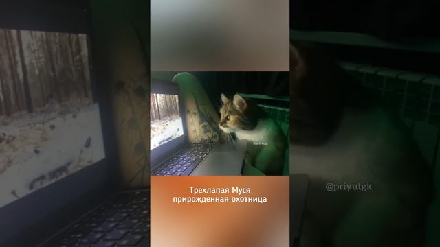 Любимая рубрика. Приветы из дома
