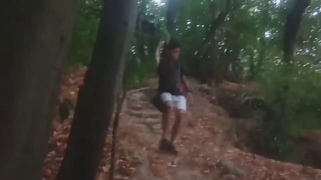 1 часть кино темный лес смотреть онлайн