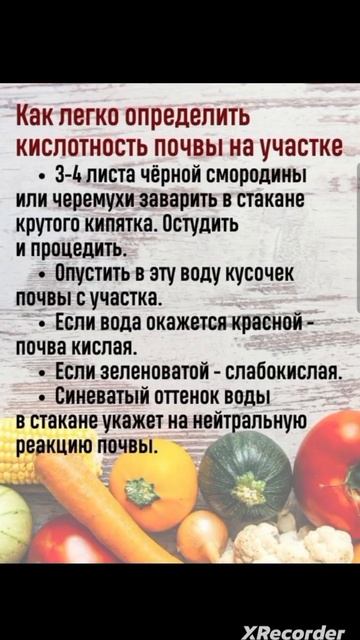 ⏩️ ОПРЕДЕЛИТЬ КИСЛОТНОСТЬ ПОЧВЫ НА УЧАСТКЕ смотреть онлайн