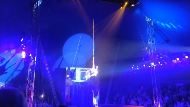 Цирк счастье в Архангельске смотреть онлайн