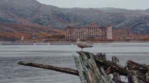 Трейлер "На границе"