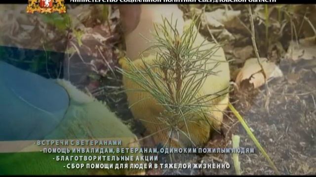 Весенняя неделя добра - 2016 смотреть онлайн