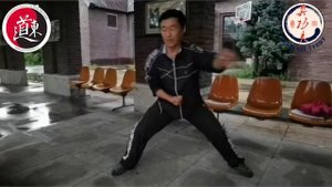 Тайцзицюань: от теории к практике в сердце Китая. Ма Цзюньэнь