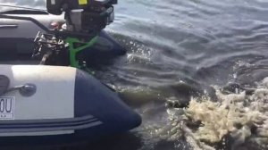 Испытание нового мотора болотоход