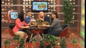 Артур и Карина Багдасаровы // "Оранжевое утро" 21.11.18