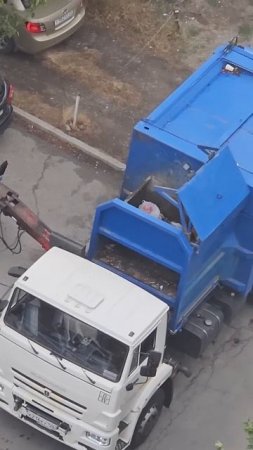5 сентября 2024 г.