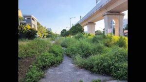 Новинка! Защищенный смартфон 8849 Unihertz Tank 3S с проектором