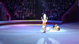 "ЛУЧШИЕ ДРУЗЬЯ", ШОУ "БАГДАСАРОВЫ. ПРО ЦИРК", КАЗАНСКИЙ ЦИРК