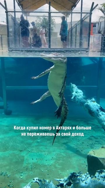 #юмор #краснодар #ахтари #инвестиции #пассивныйдоход