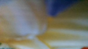 Разбилась лампочка(Еще вчера в подъезде лампочка горе