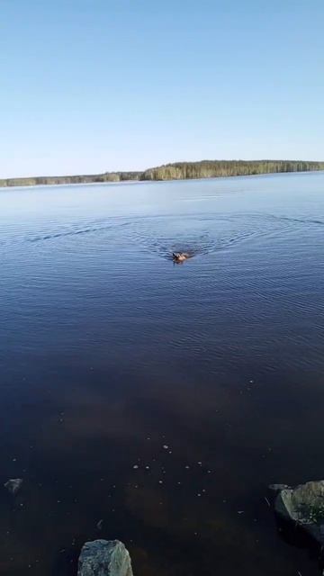 22 ноября 2024 г. смотреть онлайн