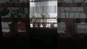 Ламповый усилитель 6ж4 и 6п6с в ультралинейном включени