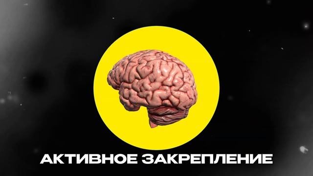Как Учиться в 10 раз БЫСТРЕЕ и ЭФФЕКТИВНЕЕ (гайд без вод