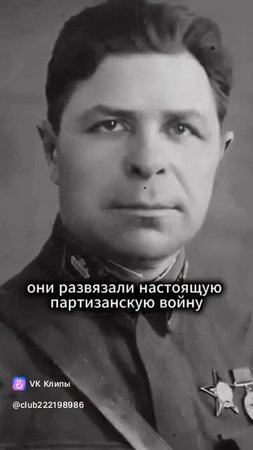 vkclips_20250511012902