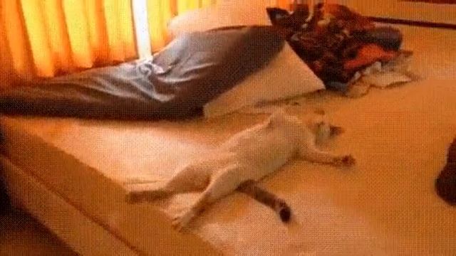 после тяжелого рабочего дня смотреть онлайн