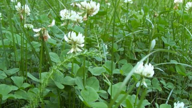 Первая "тихая охота" 2022 года смотреть онлайн