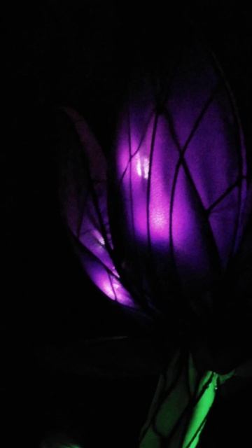 ПАРК ФОНАРЕЙ. Тюльпан. смотреть онлайн