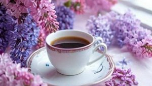 Доброе Утро, Солнышко! Красивые Пожелания на Начало Дня 🌸