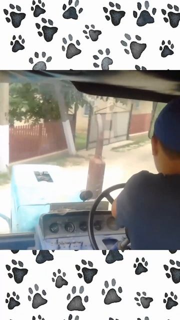 🐾 Сегодня - Всемирный день защиты животных! «Звездочк смотреть онлайн