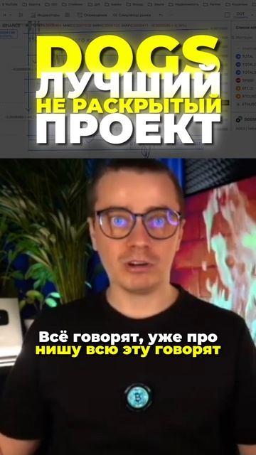 DOGS кто отпадет на просадках смотреть онлайн