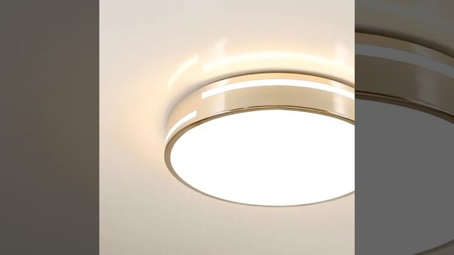 Светильник потолочный F-Promo Pall 2744-1C смотреть онлайн