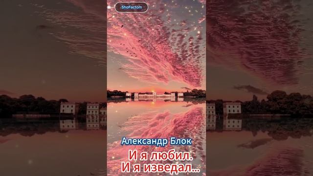 Александр Блок, стихи - И я любил  И я изведал… #shorts