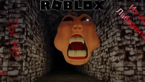 Попал в стрёмный лабиринт в Roblox (кошмарная гонка)