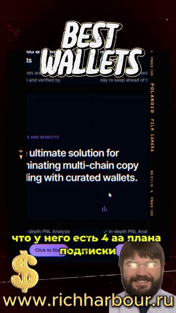 🚀 WalletX – Лучший Анализатор Криптокошельков на Solana! 🔥