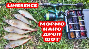 DAYO LIMERENCE ОБЗОР И СРАВНЕНИЕ НА ПОТРЯХ С ПОПУЛЯРНЫМИ БЮДЖЕТКАМИ. МОРМЫШИНГ. НАНО ДРОП ШОТ.