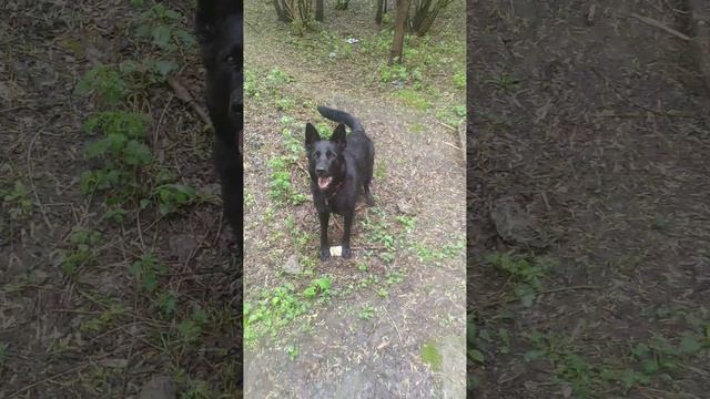 VID-20250511-WA0002.mp4 смотреть онлайн